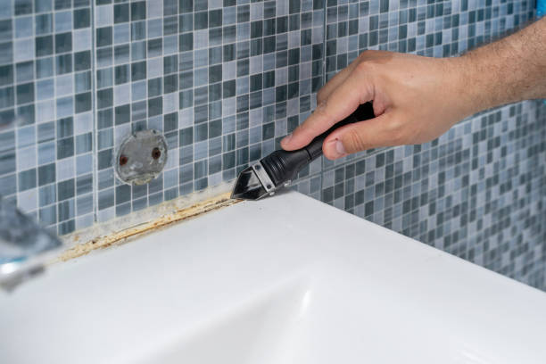 Best Home Mold Removal  in Berea, KY
