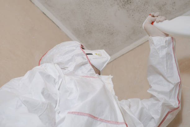 Best Crawl Space Mold Removal  in Berea, KY
